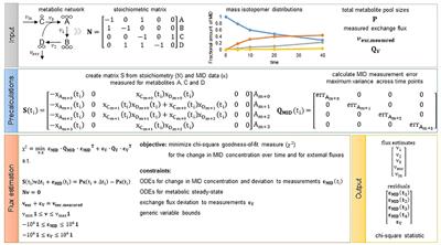 A simulation-free constrained regression approach for flux estimation in isotopically nonstationary metabolic flux analysis with applications in microalgae